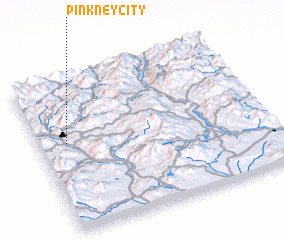 3d view of Pinkney City