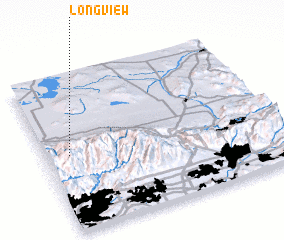 3d view of Longview