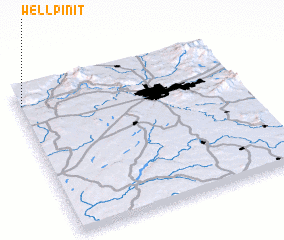 3d view of Wellpinit