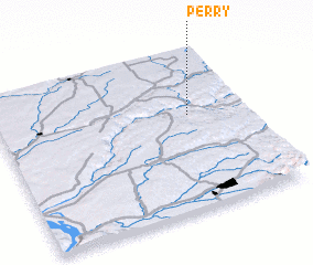 3d view of Perry