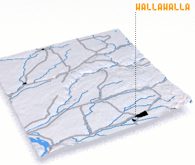3d view of Walla Walla