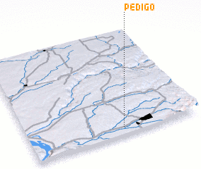 3d view of Pedigo