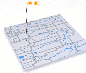 3d view of Woking