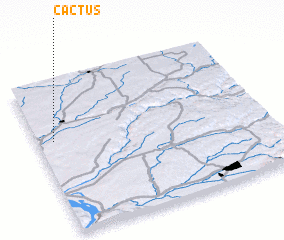 3d view of Cactus