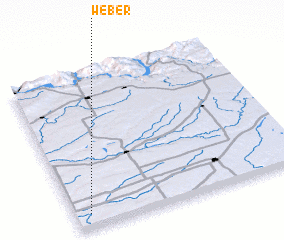 3d view of Weber