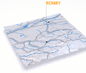 3d view of McNary