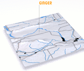 3d view of Ginger