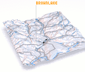 3d view of Brown Lake