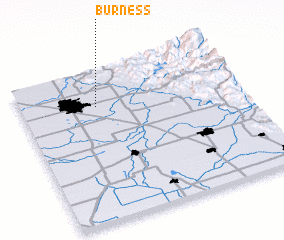 3d view of Burness