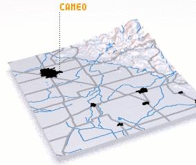 3d view of Cameo