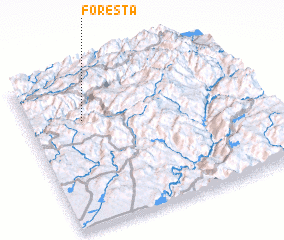 3d view of Foresta