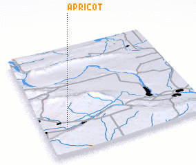 3d view of Apricot