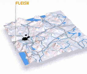 3d view of Fleish