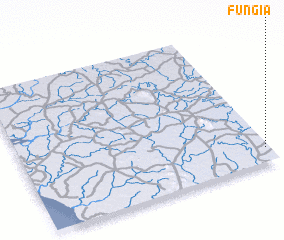 3d view of Fungia