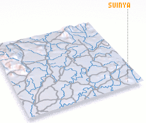 3d view of Suinya