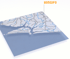 3d view of Wongifo