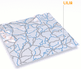 3d view of Lilia