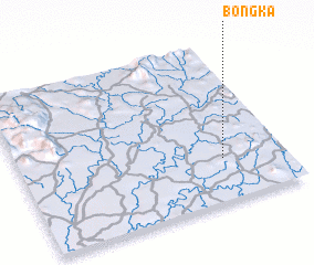 3d view of Bongka