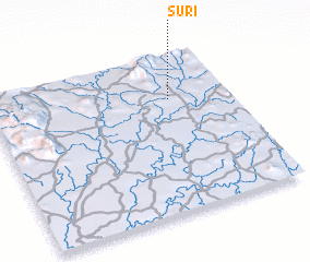 3d view of Suri