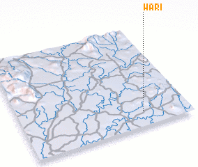 3d view of Wari