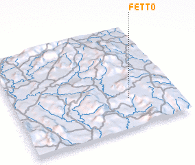 3d view of Fetto