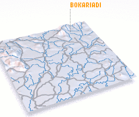 3d view of Bokariadi