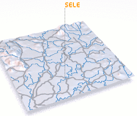 3d view of Sele