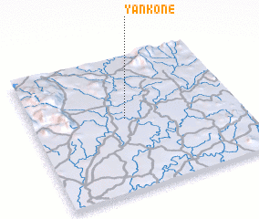 3d view of Yankone
