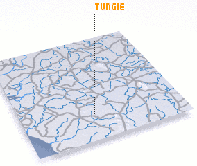 3d view of Tungie