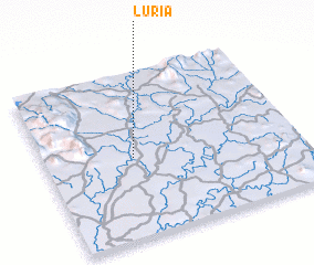 3d view of Luria