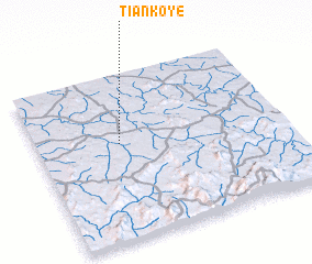 3d view of Tiankoye