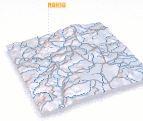 3d view of Makia