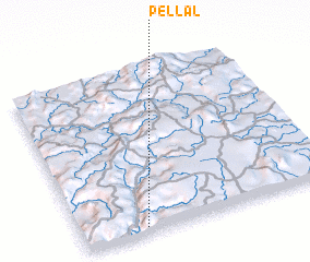 3d view of Pellal
