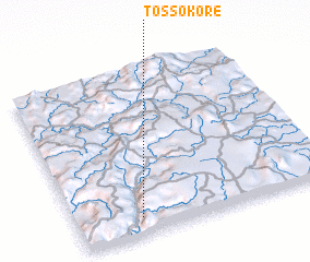 3d view of Tossokoré