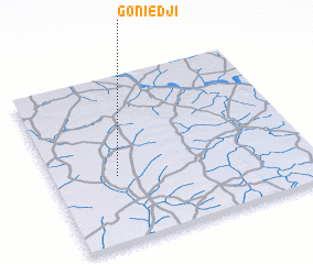 3d view of Goniedji