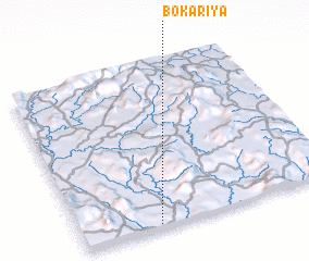 3d view of Bokariya