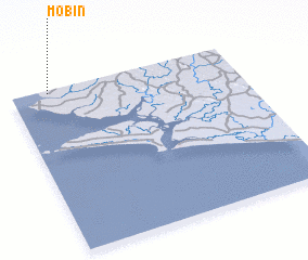 3d view of Mobin