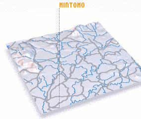 3d view of Mintomo
