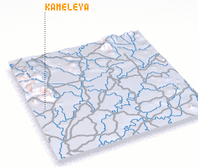 3d view of Kaméléya