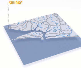 3d view of Shunge