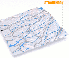 3d view of Strawberry