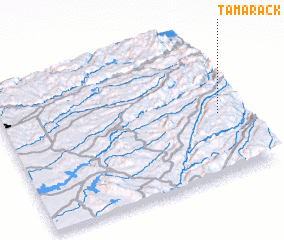 3d view of Tamarack