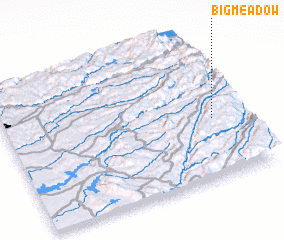 3d view of Big Meadow