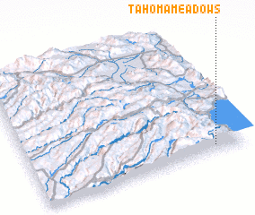 3d view of Tahoma Meadows