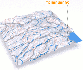 3d view of Tahoe Woods