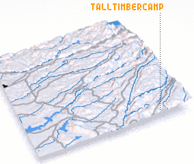 3d view of Tall Timber Camp