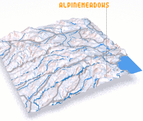 3d view of Alpine Meadows