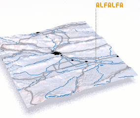 3d view of Alfalfa