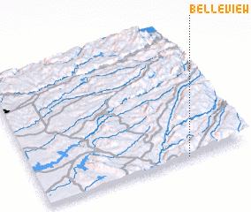 3d view of Belleview