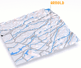 3d view of Arnold